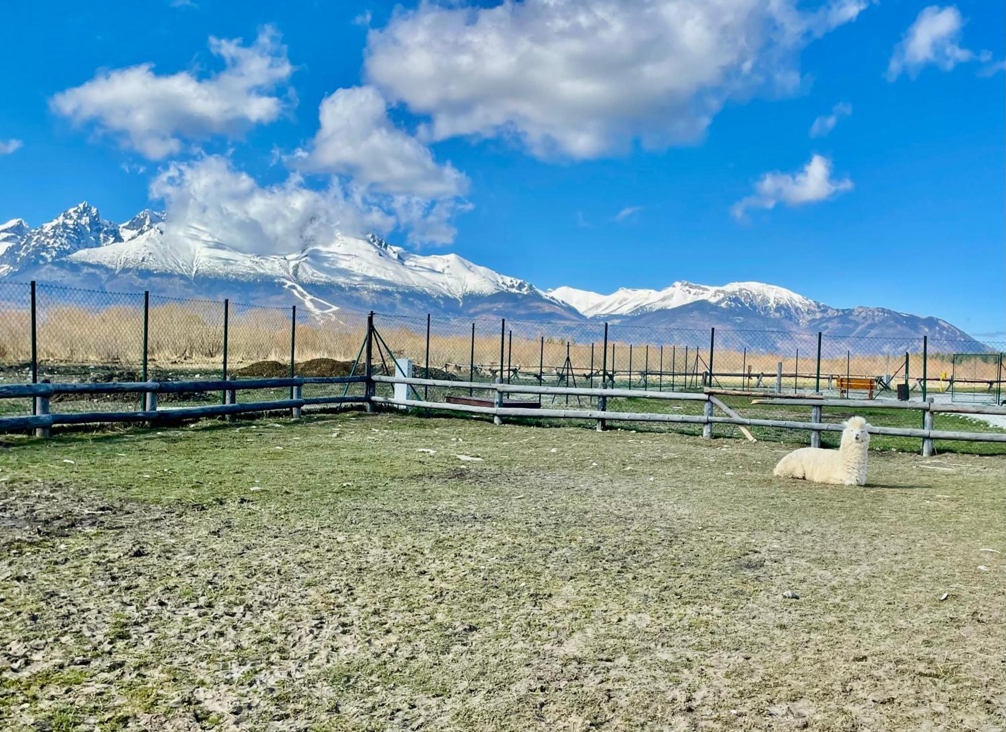 Apartment Kimo - Stunning View Of High Tatras ヴェルカー・ロムニツァ エクステリア 写真