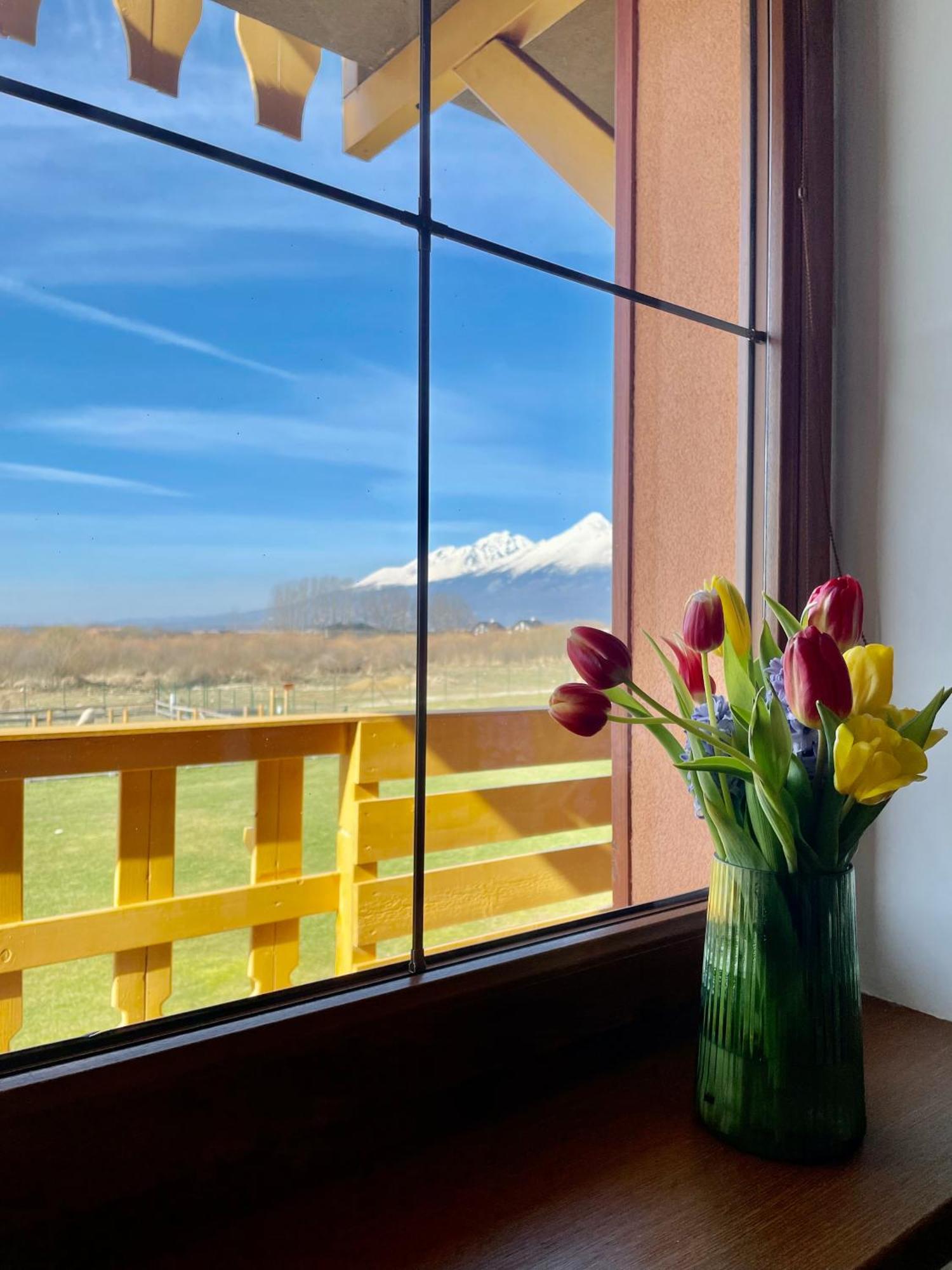 Apartment Kimo - Stunning View Of High Tatras ヴェルカー・ロムニツァ エクステリア 写真